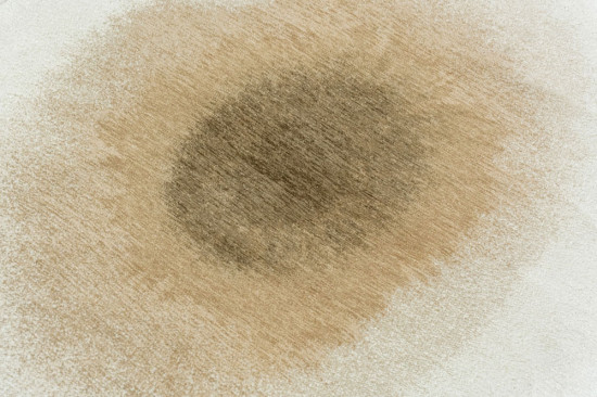 Meditation Fawn 2103