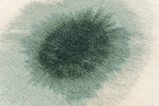 Meditation Green Day 2104