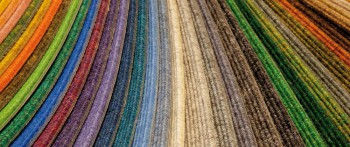 Tretford tapijt