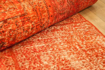 443150 Patchwork Coral 200x300
