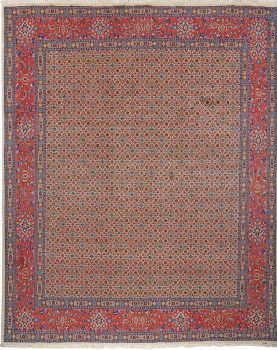 Iran Moud M 236x295cm