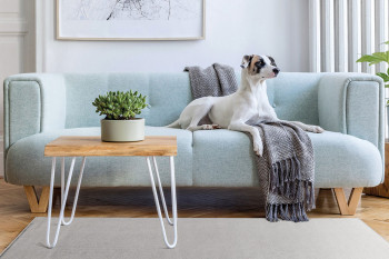 Tara Deluxe  Light Grey