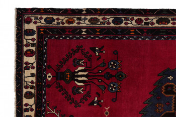 Iran Afshar 170x241cm 5890903