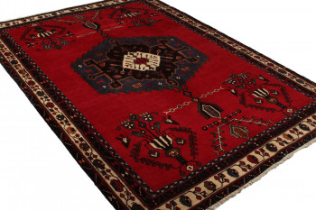 Iran Afshar 170x241cm 5890903