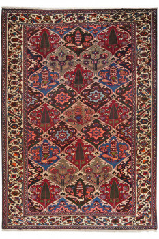 Iran Bakhtiar 219x308cm