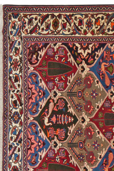 Iran Bakhtiar 219x308cm