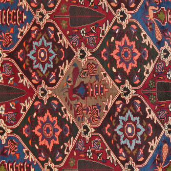 Iran Bakhtiar 219x308cm