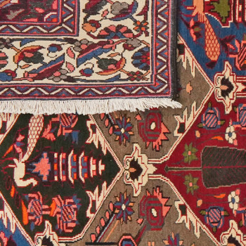 Iran Bakhtiar 219x308cm