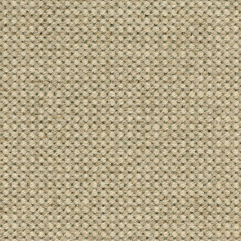 Rodin 9107
