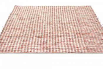 Grain coral 013502