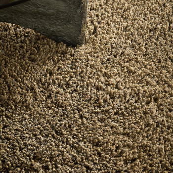 Sprout Dusty Ground 013319