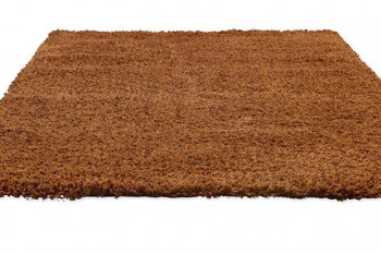 Sprout Terracotta 013323