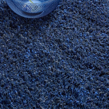 Sprout Cobalt Eclipse 013308