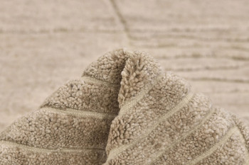 Landscape Fields Beige