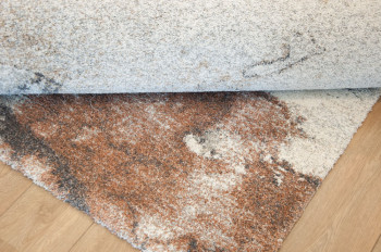 Beaufort Cloud Rust 467/6787