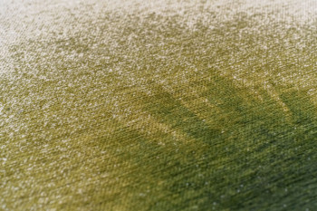 Meditation Green Pepper 2105