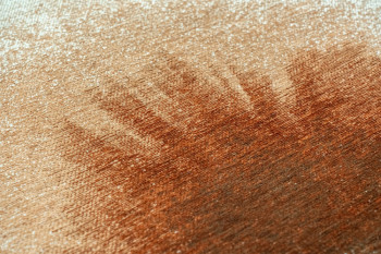 Meditation Indian Snow 2106