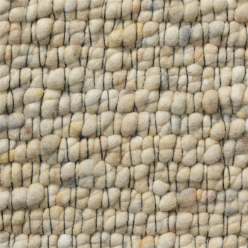 paginaTitel