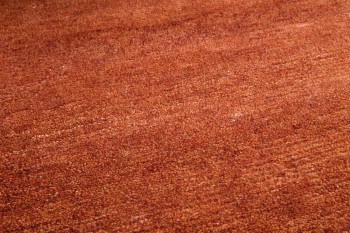 Sarnath Orange