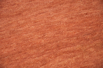 Sarnath Orange