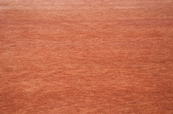 Sarnath Orange