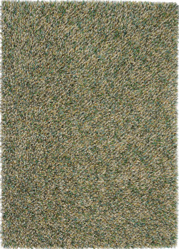 Spring 59107 Evergreen